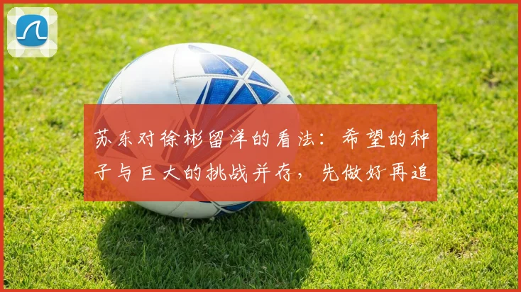 苏东对徐彬留洋的看法：希望的种子与巨大的挑战并存，先做好再追求完美
